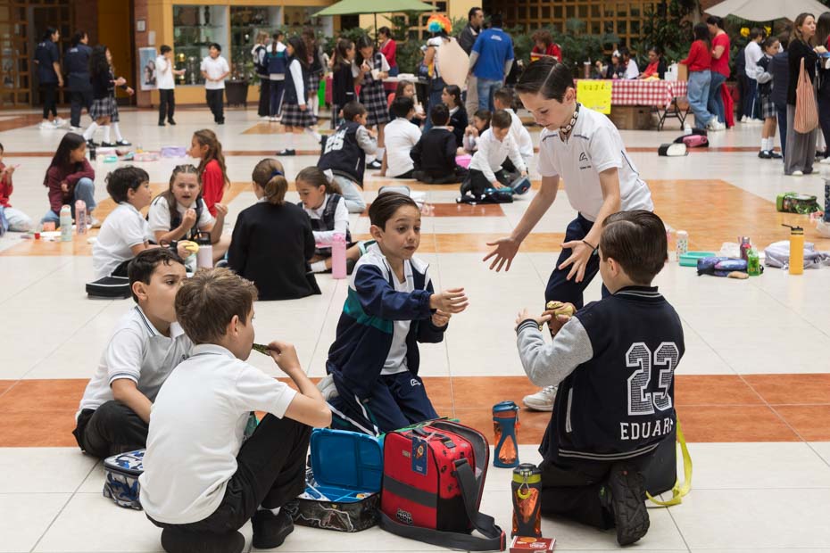 Ir a la Siguiente Foto