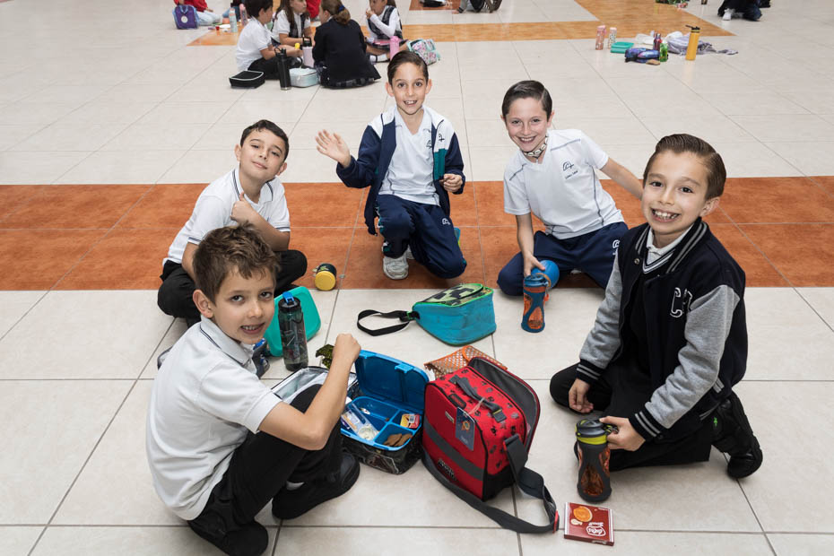 Ir a la Siguiente Foto