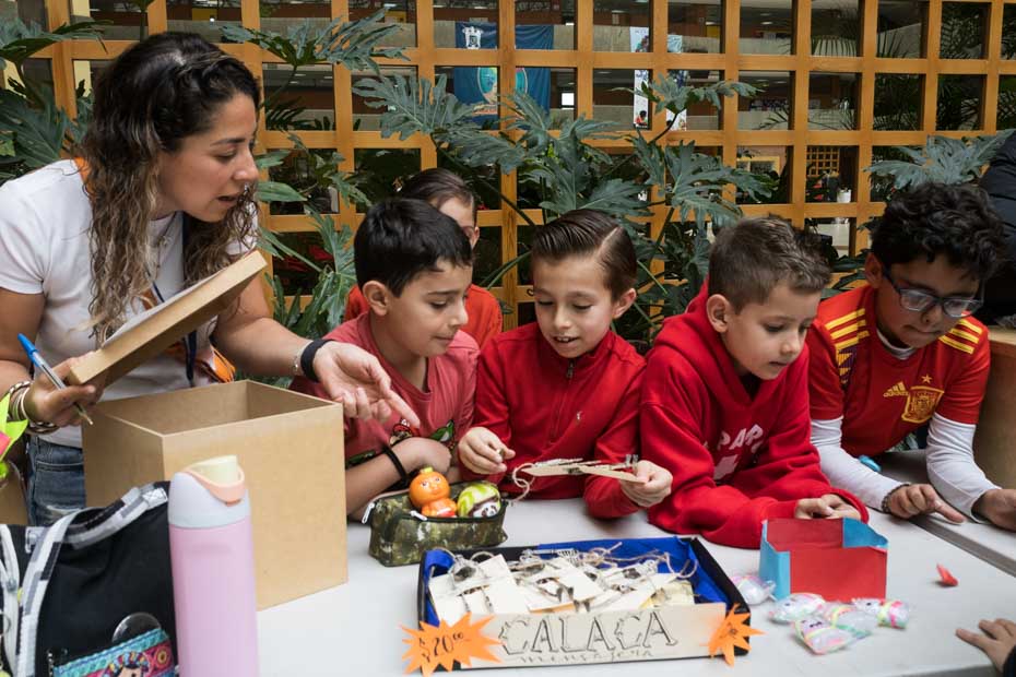 Ir a la Siguiente Foto