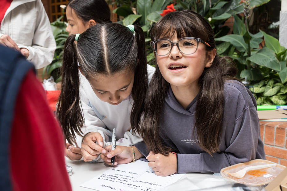 Ir a la Siguiente Foto