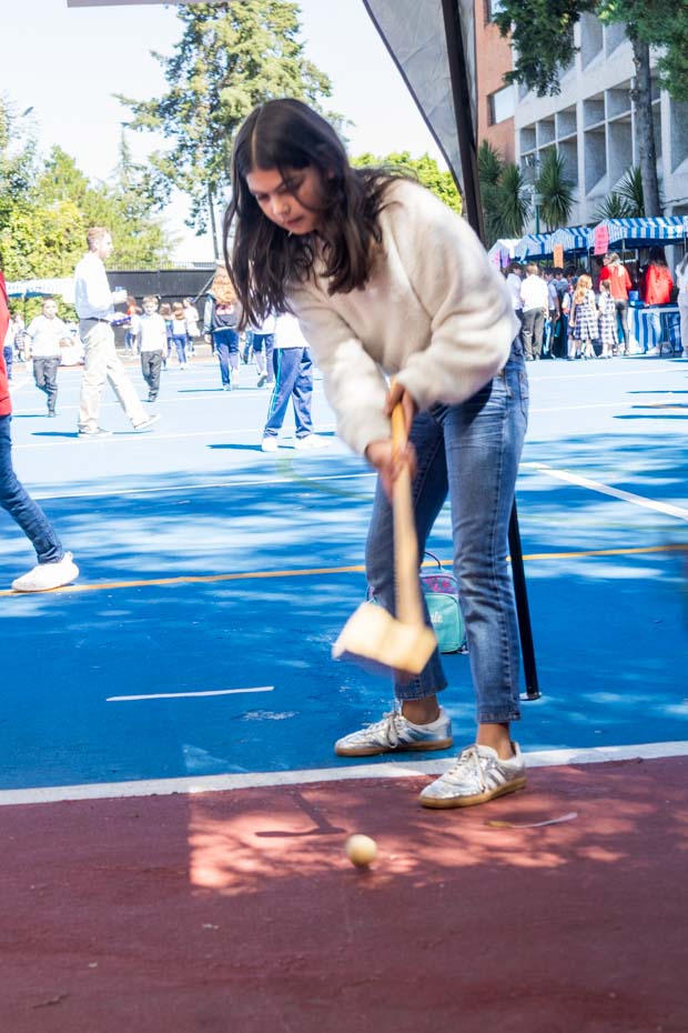 Ir a la Siguiente Foto