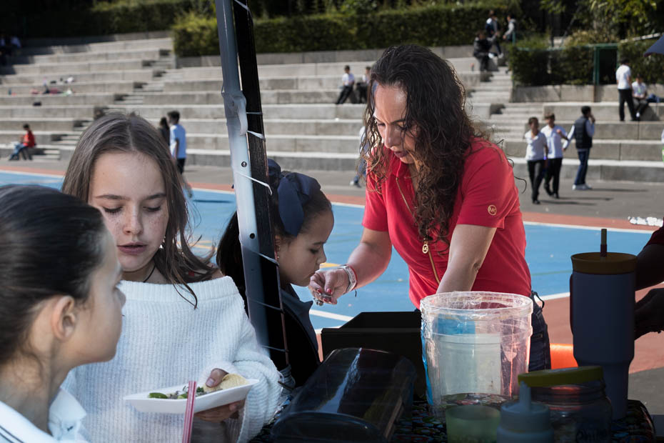 Ir a la Siguiente Foto