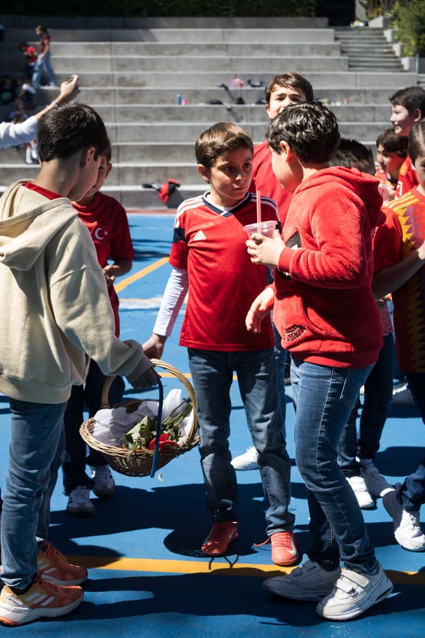 Ir a la Siguiente Foto