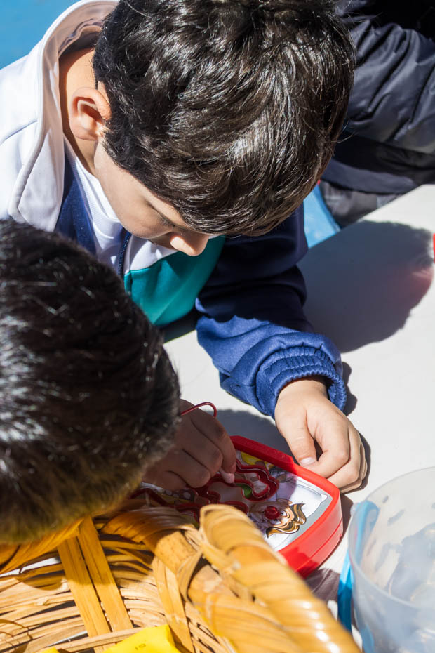 Ir a la Siguiente Foto