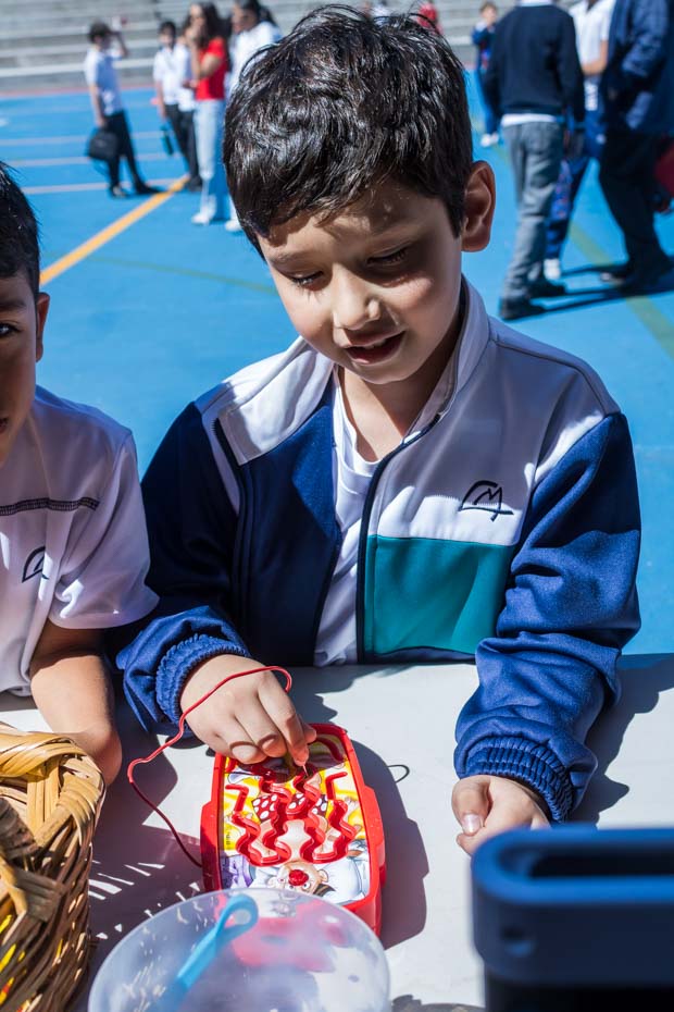 Ir a la Siguiente Foto