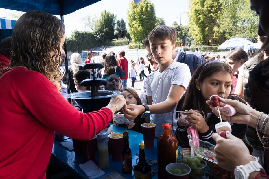 Ir a la Siguiente Foto