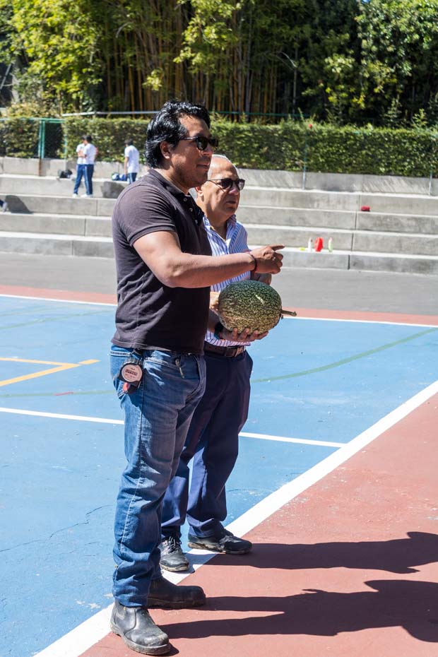 Ir a la Siguiente Foto