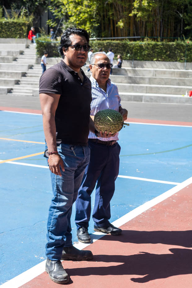 Ir a la Siguiente Foto