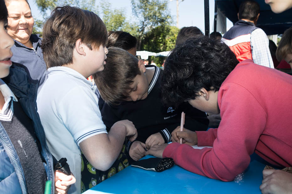 Ir a la Siguiente Foto