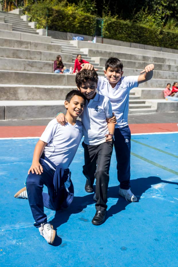 Ir a la Siguiente Foto