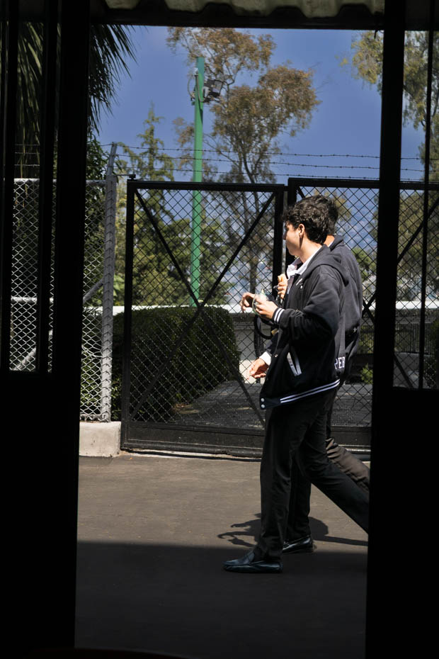 Ir a la Siguiente Foto