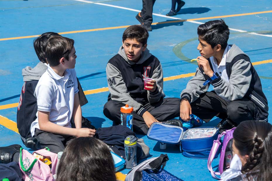 Ir a la Siguiente Foto