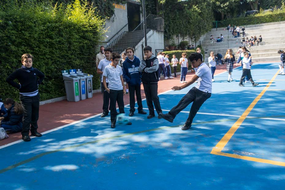 Ir a la Siguiente Foto