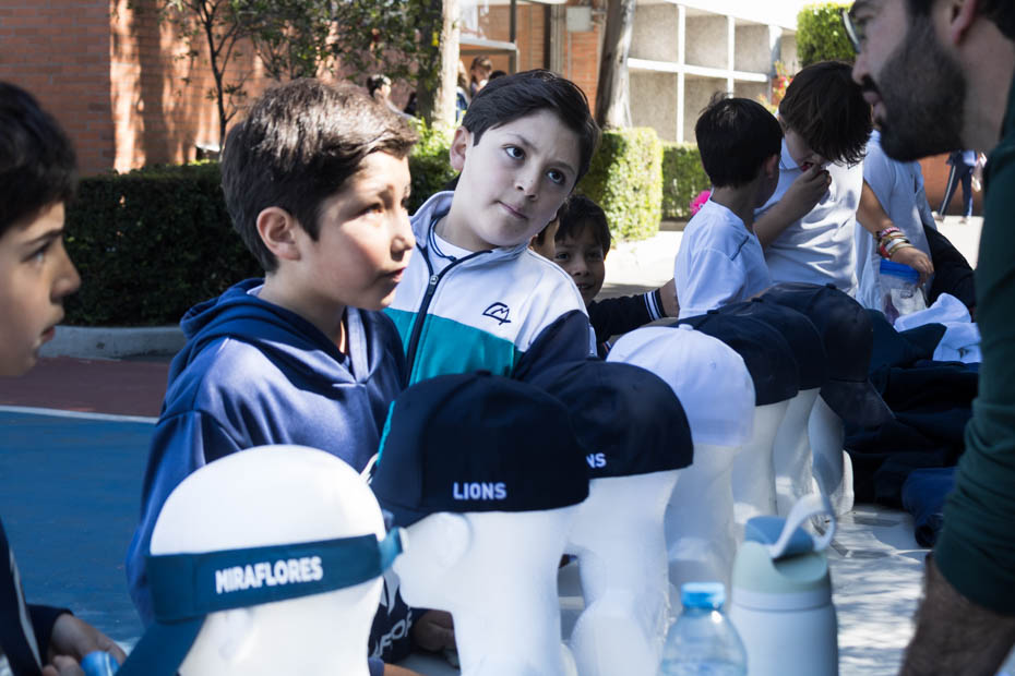 Ir a la Siguiente Foto