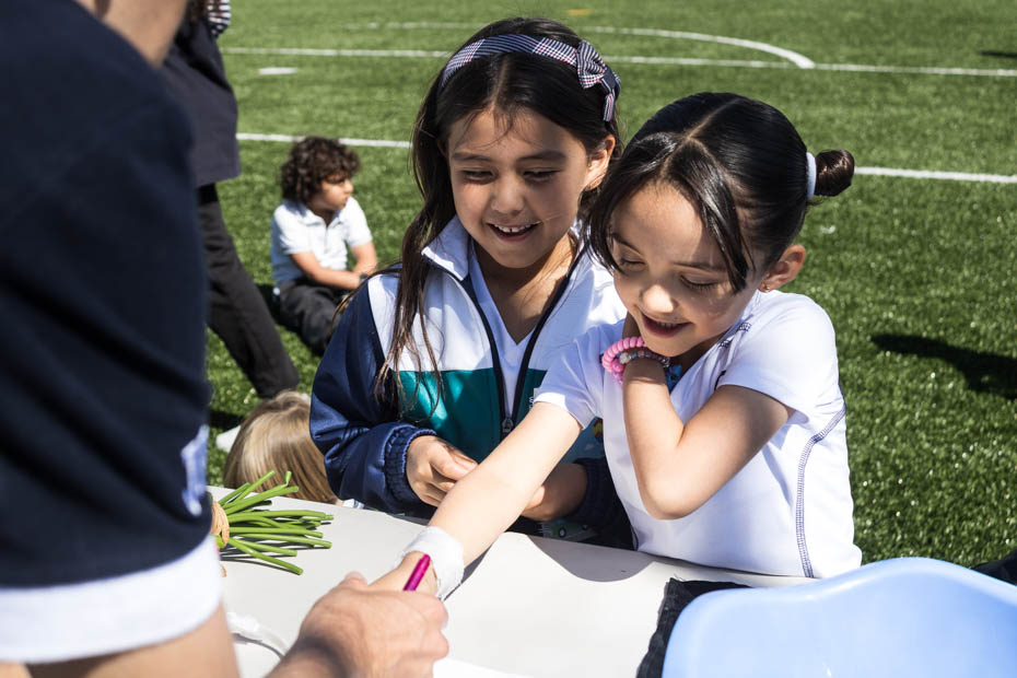 Ir a la Siguiente Foto