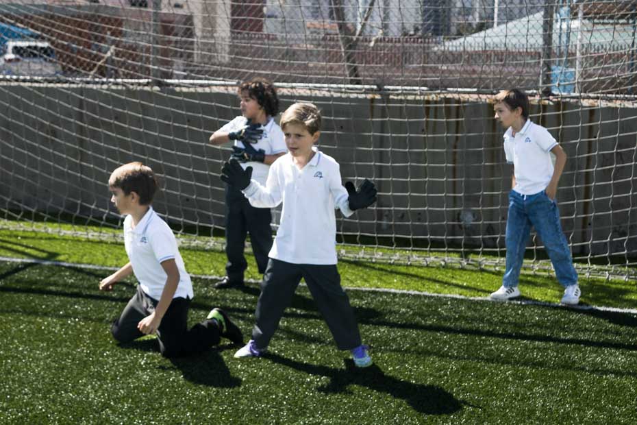 Ir a la Siguiente Foto