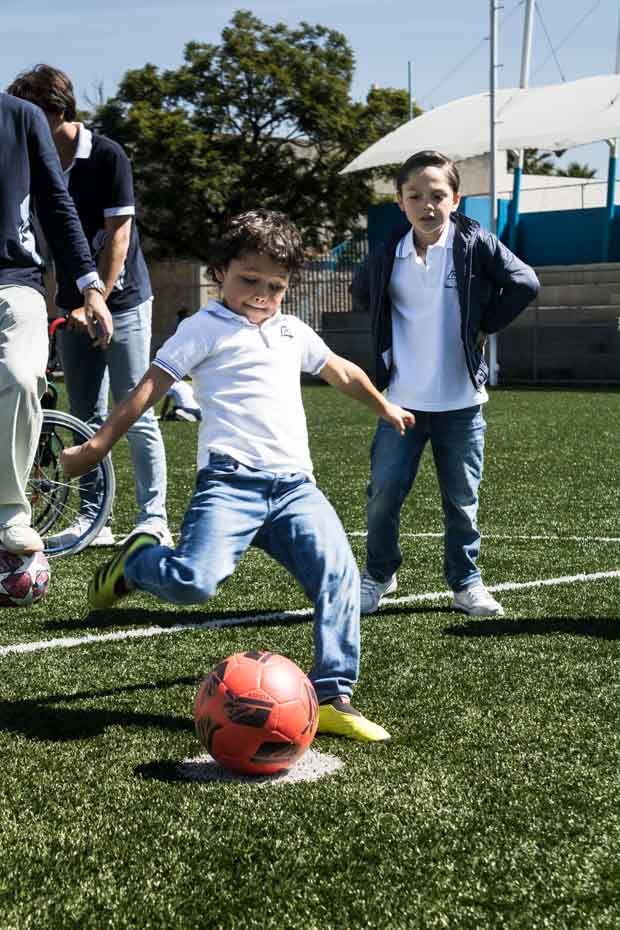 Ir a la Siguiente Foto