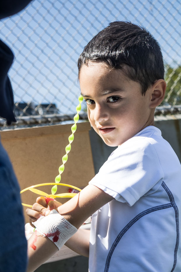 Ir a la Siguiente Foto