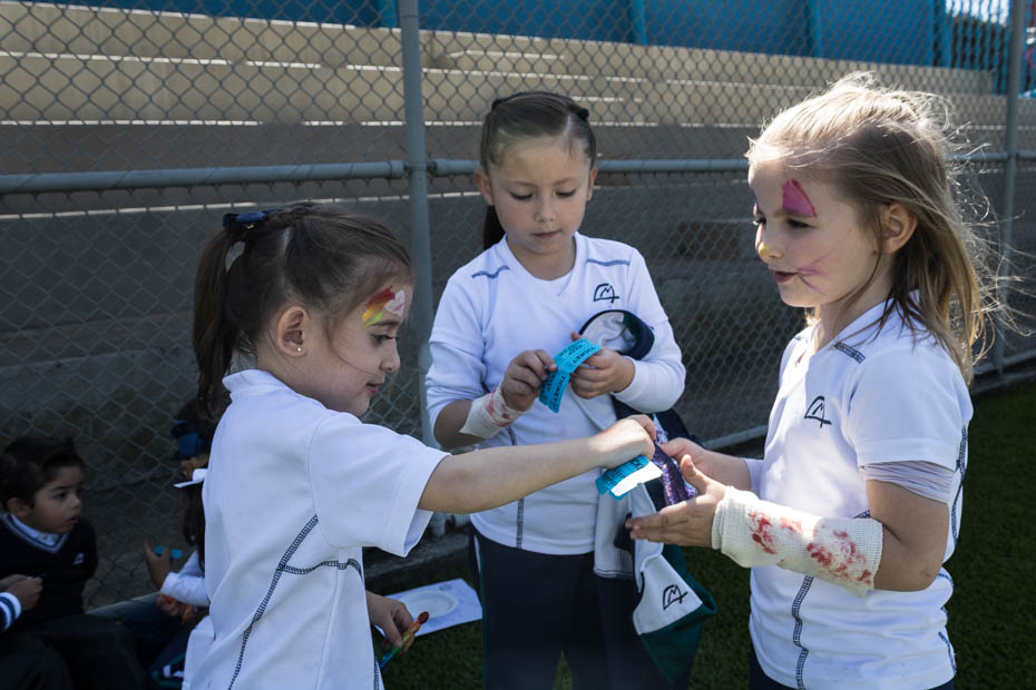 Ir a la Siguiente Foto