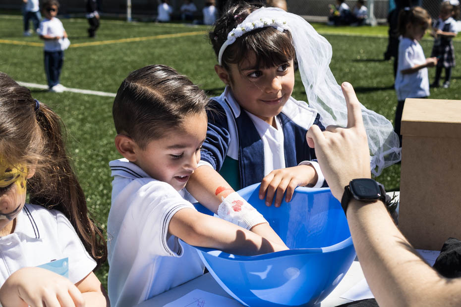 Ir a la Siguiente Foto