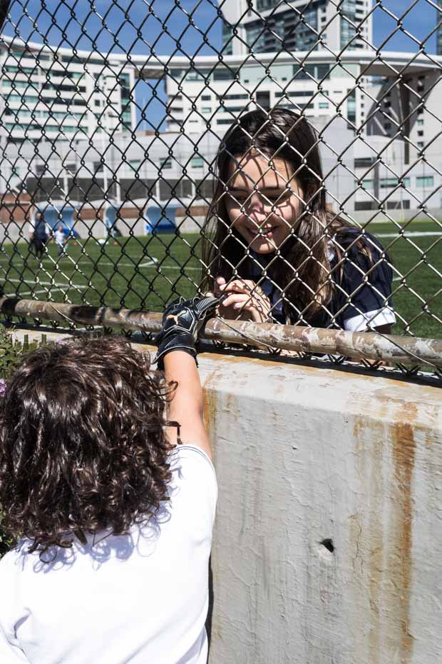 Ir a la Siguiente Foto