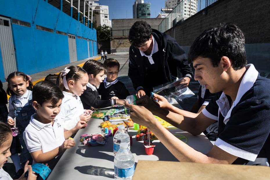 Ir a la Siguiente Foto