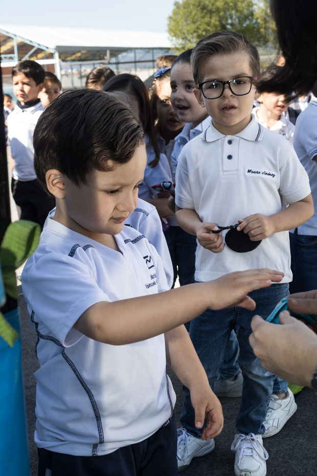 Ir a la Siguiente Foto