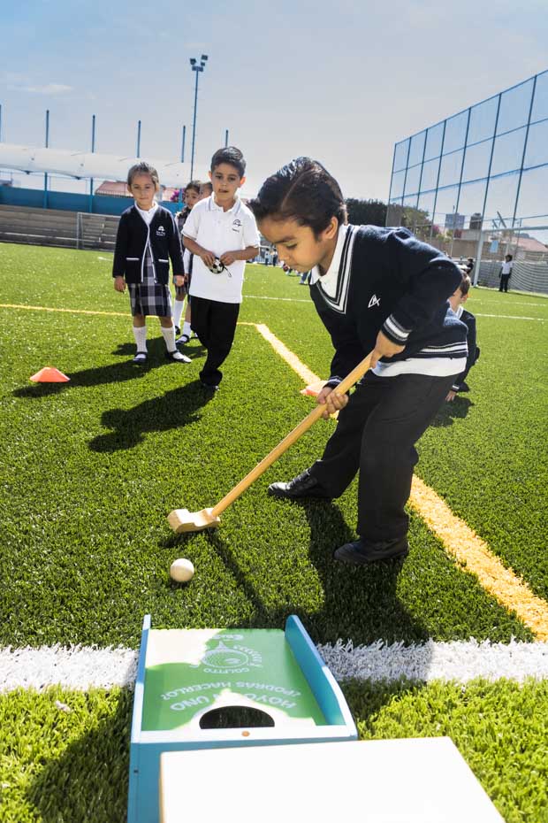 Ir a la Siguiente Foto