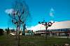 07032020ourense2020_dia08_badbinton_natacion_triatlon292.jpg