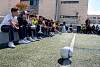 07032020ourense2020_dia08_badbinton_natacion_triatlon391.jpg