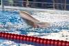 07032020ourense2020_dia08_badbinton_natacion_triatlon443.jpg