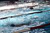 07032020ourense2020_dia08_badbinton_natacion_triatlon451.jpg