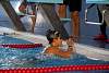 07032020ourense2020_dia08_badbinton_natacion_triatlon460.jpg