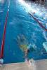 07032020ourense2020_dia08_badbinton_natacion_triatlon528.jpg