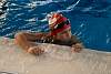07032020ourense2020_dia08_badbinton_natacion_triatlon531.jpg