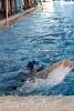 07032020ourense2020_dia08_badbinton_natacion_triatlon597.jpg