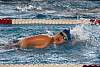 07032020ourense2020_dia08_badbinton_natacion_triatlon650.jpg