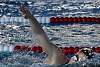 07032020ourense2020_dia08_badbinton_natacion_triatlon735.jpg
