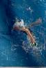 07032020ourense2020_dia08_badbinton_natacion_triatlon765.jpg