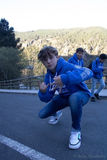 Ir a la Siguiente Foto