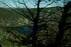 10032020ourense2020_dia11_visita_monasterio_catamaran_ribiera_sacra446.jpg