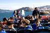 12032020ourense2020_dia13_visita_islas_reserva_natural157.jpg