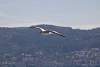 12032020ourense2020_dia13_visita_islas_reserva_natural206.jpg