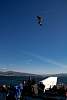 12032020ourense2020_dia13_visita_islas_reserva_natural233.jpg