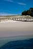 12032020ourense2020_dia13_visita_islas_reserva_natural283.jpg