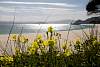 12032020ourense2020_dia13_visita_islas_reserva_natural327.jpg