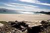 12032020ourense2020_dia13_visita_islas_reserva_natural328.jpg