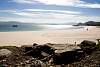 12032020ourense2020_dia13_visita_islas_reserva_natural329.jpg