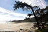12032020ourense2020_dia13_visita_islas_reserva_natural338.jpg