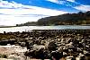 12032020ourense2020_dia13_visita_islas_reserva_natural343.jpg